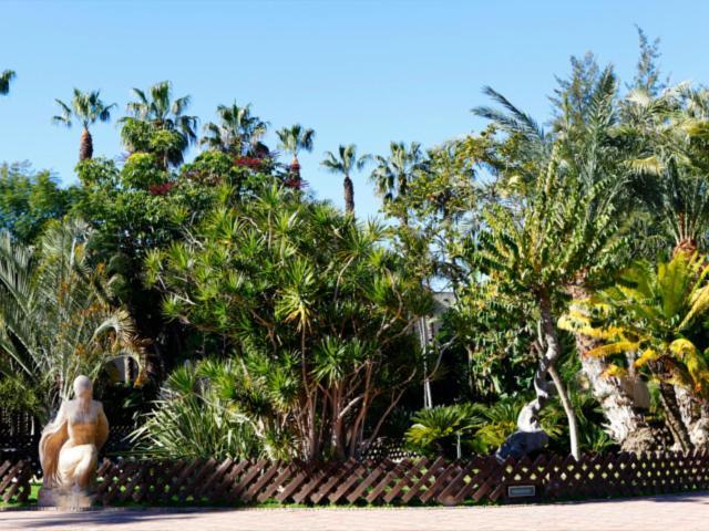 Almuñécar Las Palmeras מראה חיצוני תמונה